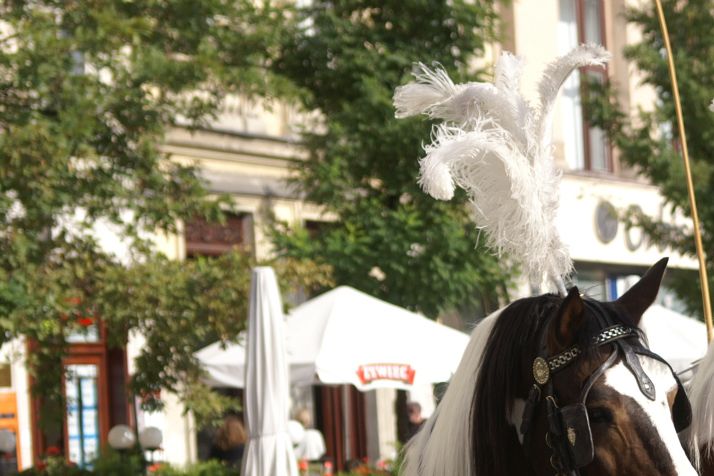 Witamy är polska för välkommen